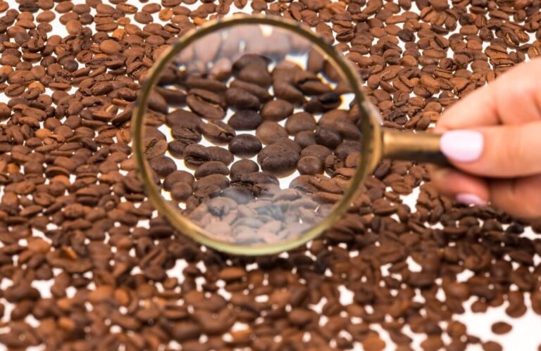 how to choose coffee beans?
