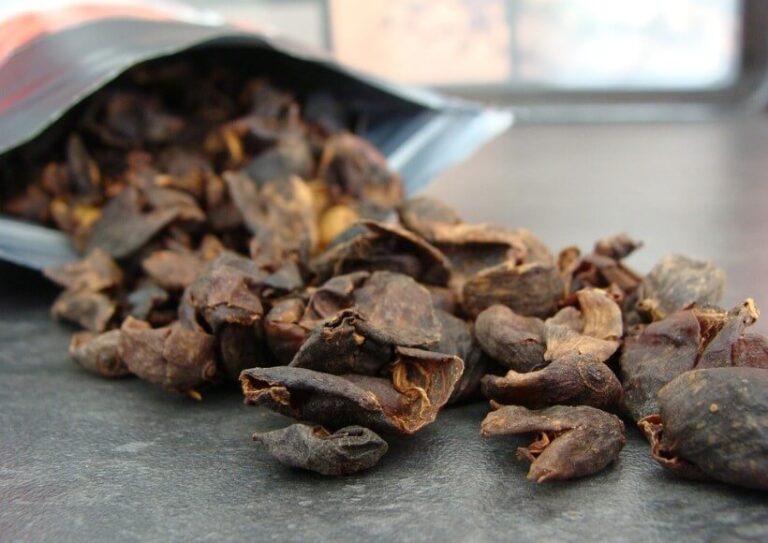 Cascara – A Tea Made from Coffee Fruit